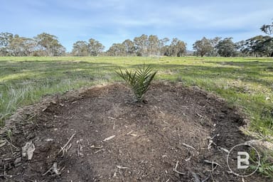 Property 19 Moyreisk-Redbank Road, Redbank VIC 3477 IMAGE 0