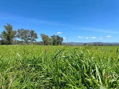 Property 353 Winegrove Road, WINEGROVE NSW 2460 IMAGE 0
