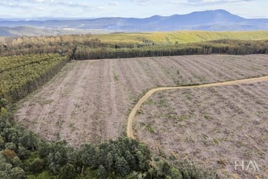 Property 124 & 126 Camden Road, Tayene TAS 7259 IMAGE 0