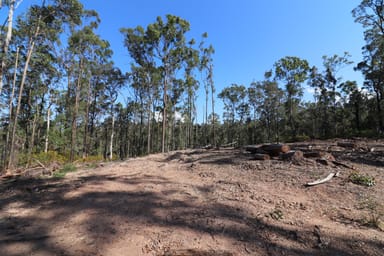 Property Lot 41 Collombatti Road, Collombatti NSW 2440 IMAGE 0