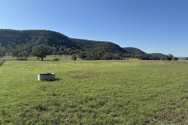 Property Lot 1 Giants Creek Road, Sandy Hollow NSW 2333 IMAGE 0
