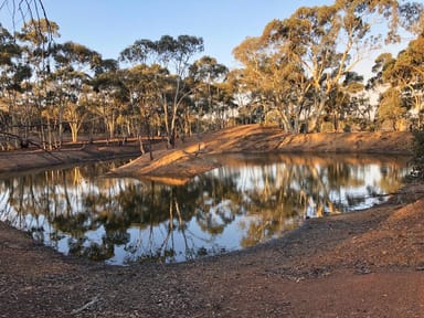 Property 1 Bendigo-Maryborough Road, SHELBOURNE VIC 3515 IMAGE 0