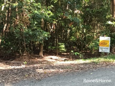 Property Lot 259 Silver Ash Road (Cow Bay), DAINTREE QLD 4873 IMAGE 0