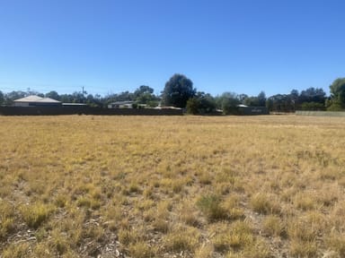 Property Lot 3 50-56 Frederick Street, Urana NSW 2645 IMAGE 0