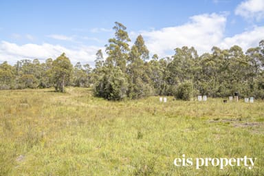 Property 189 Hastings Caves Road, HASTINGS TAS 7109 IMAGE 0