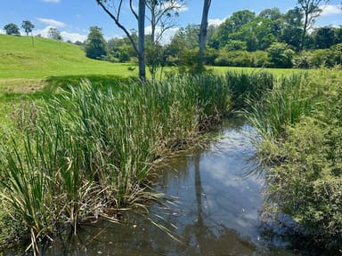 Property Lot 1, 103 Soldier Settlers Road, Newee Creek NSW 2447 IMAGE 0