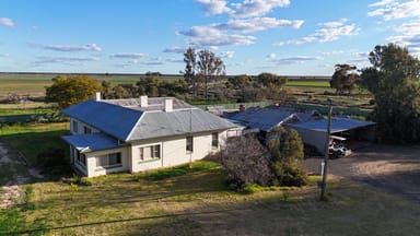 Property 347 Fairlie Grange Road, Coleambally NSW 2707 IMAGE 0