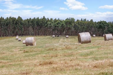 Property Guys Road Cooriemungle VIC 3268 IMAGE 0