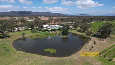 Property 162 Eurunderee Lane, Mudgee NSW 2850 IMAGE 0