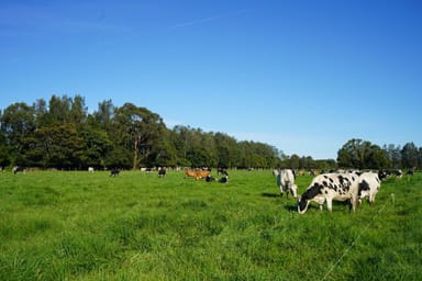 Property 282 Newtons Road, DUMARESQ ISLAND NSW 2430 IMAGE 0