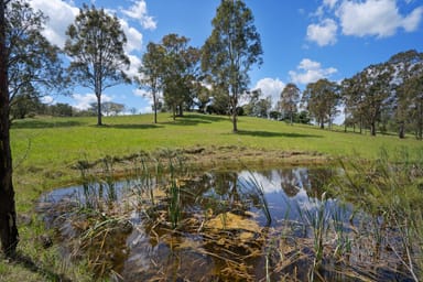 Property 1525 Fosterton Road, FOSTERTON NSW 2420 IMAGE 0