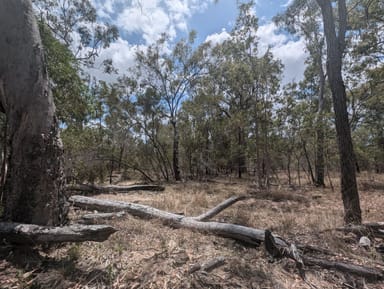 Property 123, Beak Road, BAJOOL QLD 4699 IMAGE 0