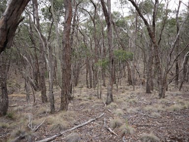 Property Lot One Grampians View Road, Beaufort VIC 3373 IMAGE 0