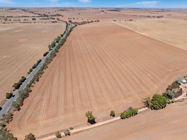 Property 4 Lots Horrocks Highway, Linwood SA 5410 IMAGE 0