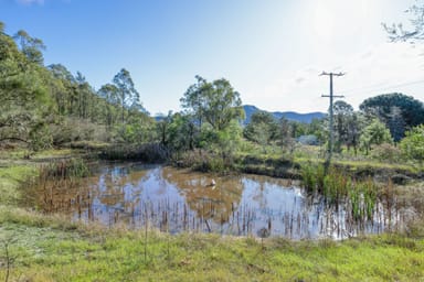 Property 409A Wollombi Road, BROKE NSW 2330 IMAGE 0