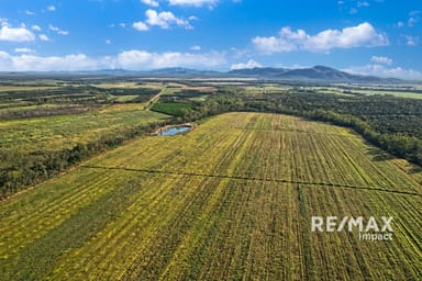 Property 67 East Dawson Road, MUTCHILBA QLD 4872 IMAGE 0