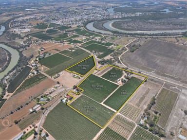 Property 32 Plushsbend Road, Renmark SA 5341 IMAGE 0