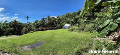Property 1295 MOSSMAN DAINTREE ROAD, Rocky Point QLD 4873 IMAGE 0