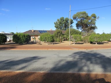 Property 24 Touche Street, Three Springs WA 6519 IMAGE 0
