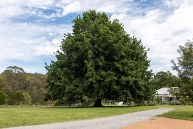 Property 379 Newfoundland Road, Taralga NSW 2580 IMAGE 0