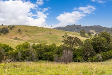 Property 87 Norries Road, BUNYAH NSW 2429 IMAGE 0