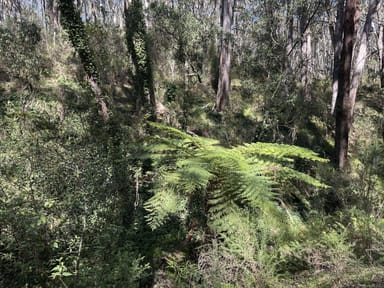 Property 124 Gumms Road, HAROLDS CROSS NSW 2622 IMAGE 0