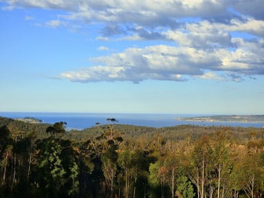 Property 181 Silver Top Crs, NULLICA Via, Eden NSW 2551 IMAGE 0