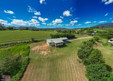 Property 553 Bulgun Road, Feluga QLD 4854 IMAGE 0