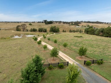 Property 'Top Farm' 1004 Neville-Trunkey Road, Neville NSW 2799 IMAGE 0