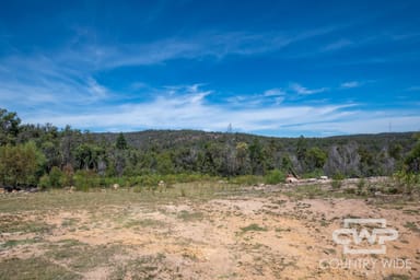 Property 101, 1768 Silent Grove Road, TORRINGTON NSW 2371 IMAGE 0