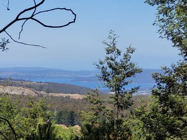 Property Lot 1, 1360 Huon Road, NEIKA TAS 7054 IMAGE 0