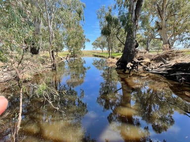 Property 195 Broughtons Lane, Yerong Creek NSW 2642 IMAGE 0