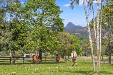 Property 18 Everests Road, EUNGELLA NSW 2484 IMAGE 0