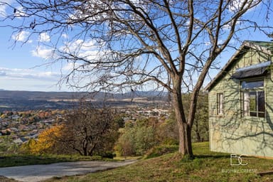 Property 46 Junction Street, Newstead TAS 7250 IMAGE 0