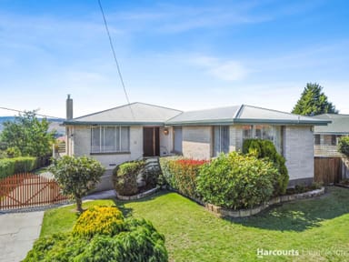 Property 19 Redwood Crescent, Youngtown TAS 7249 IMAGE 0