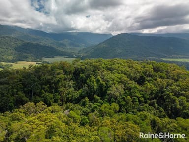 Property Lot 2 Gorge Road, Mossman Gorge QLD 4873 IMAGE 0