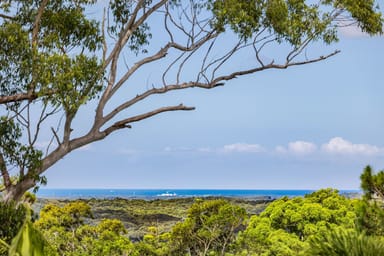 Property 136 Gerrard Road, Eudlo QLD 4554 IMAGE 0