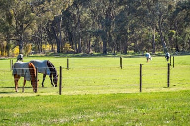 Property 222 Chiltern-Rutherglen Road, Chiltern VIC 3683 IMAGE 0