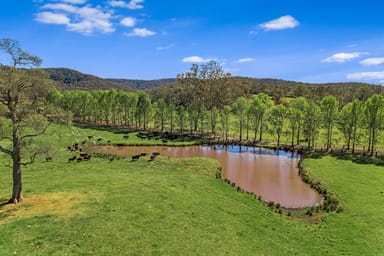 Property 1224 Dooralong Road, Dooralong NSW 2259 IMAGE 0