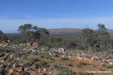 Property * Iona, COBAR NSW 2835 IMAGE 0