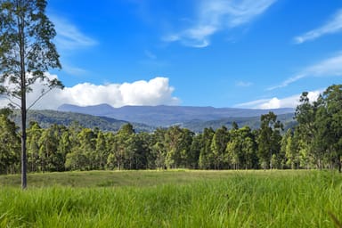 Property Lot 62-69 Duck Creek Road, Old Bonalbo NSW 2469 IMAGE 0