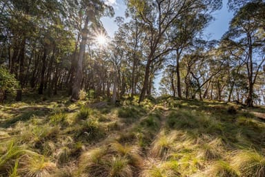 Property 153 Blue Bush Road, Wyanbene NSW 2622 IMAGE 0