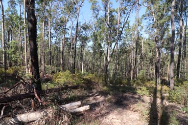 Property Lot 41 Collombatti Road, Collombatti NSW 2440 IMAGE 0