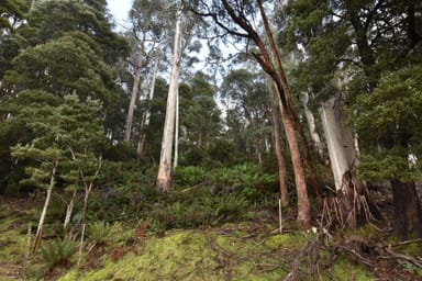 Property 0 Echo Valley Rd, Liena TAS 7304 IMAGE 0