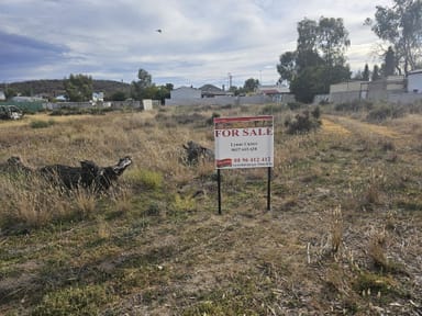 Property 31 James Street, Kellerberrin WA 6410 IMAGE 0