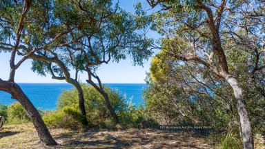 Property 101 Bloodwood Avenue South, AGNES WATER QLD 4677 IMAGE 0