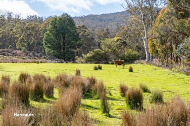 Property 2, 310 Judds Creek Road, JUDBURY TAS 7109 IMAGE 0