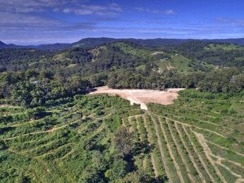 Property 224 Top Forestry Road, Ridgewood QLD 4563 IMAGE 0