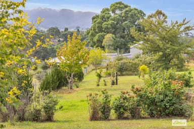 Property 2-20 Parkes Street, Bemboka NSW 2550 IMAGE 0