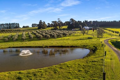 Property 82 Ryans Lane, Wildes Meadow NSW 2577 IMAGE 0